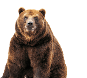 Urso